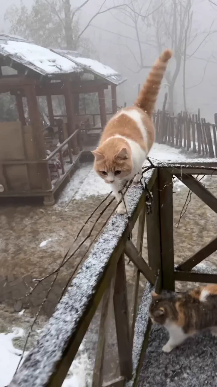 🥶🥶🥶 https://t.co/NknUKITGII