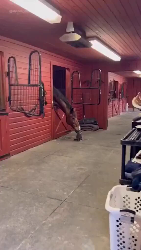https://t.co/90S3mNhdXR