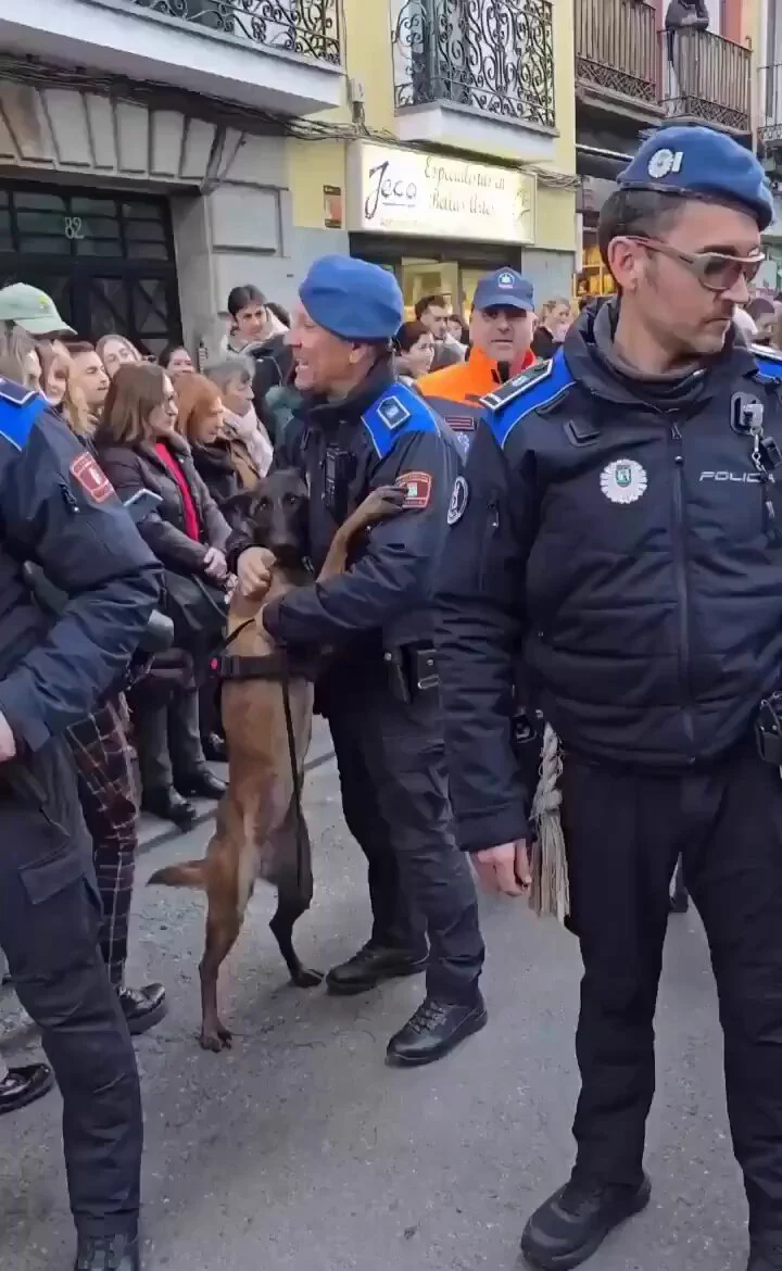 https://t.co/mQvP6wOeb6