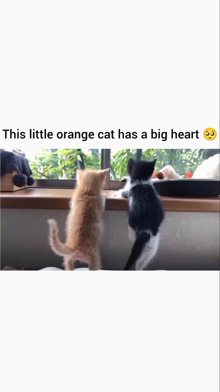 https://t.co/44WnGWL11B