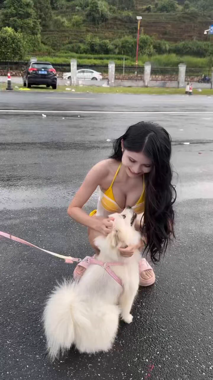 路边遇到的狗狗 https://t.co/p3qSSa4K6L