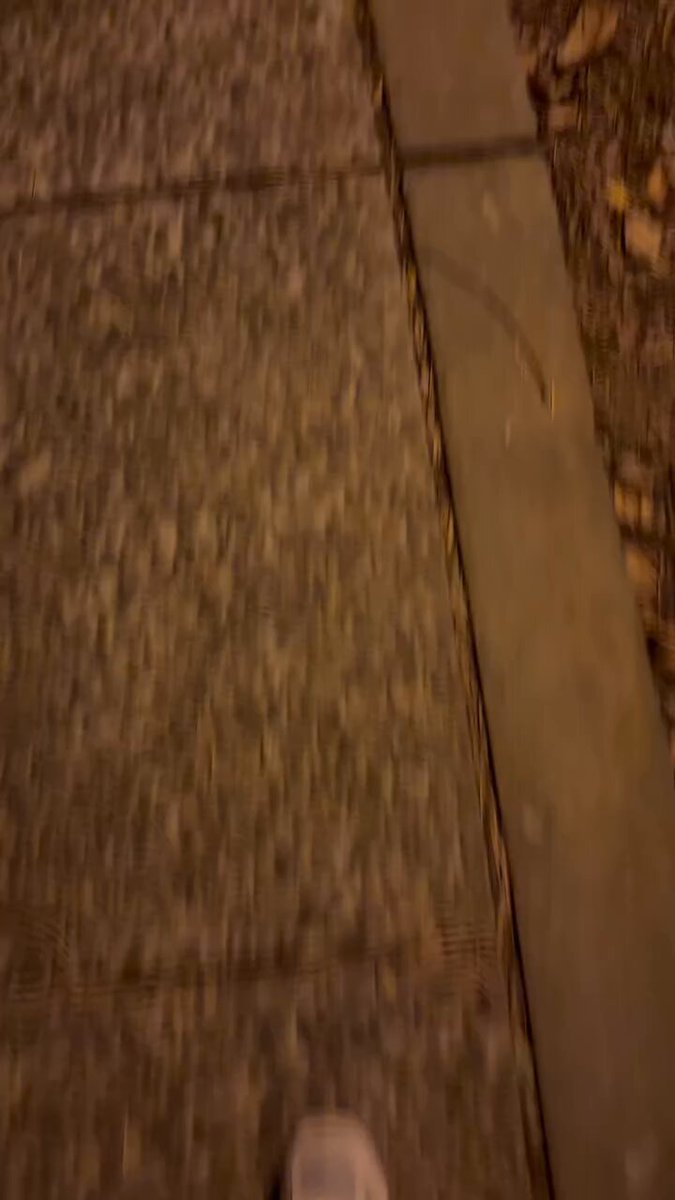 現在學校晚上都這麼暗的嗎🥵
一點路燈都沒有…

現在剛好鬼門開 
有人要收服我們兩個小色鬼嗎
#東海大學 https://t.co/FrmkRLDqqs