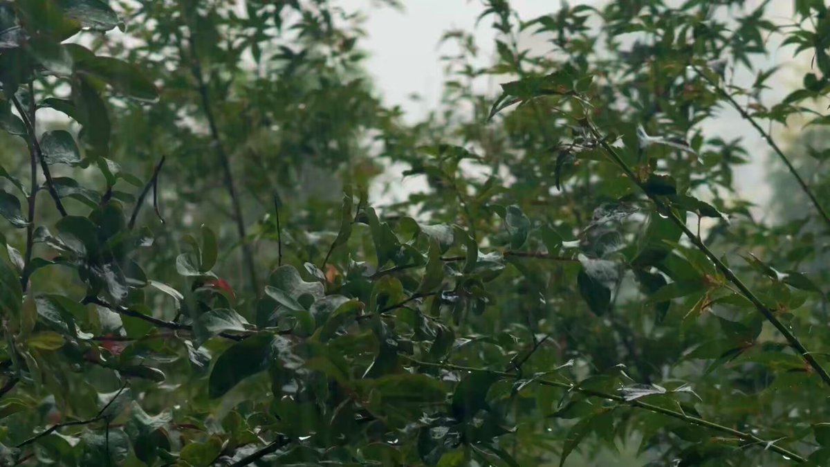 好大的雨w https://t.co/lFNFYgQxx6