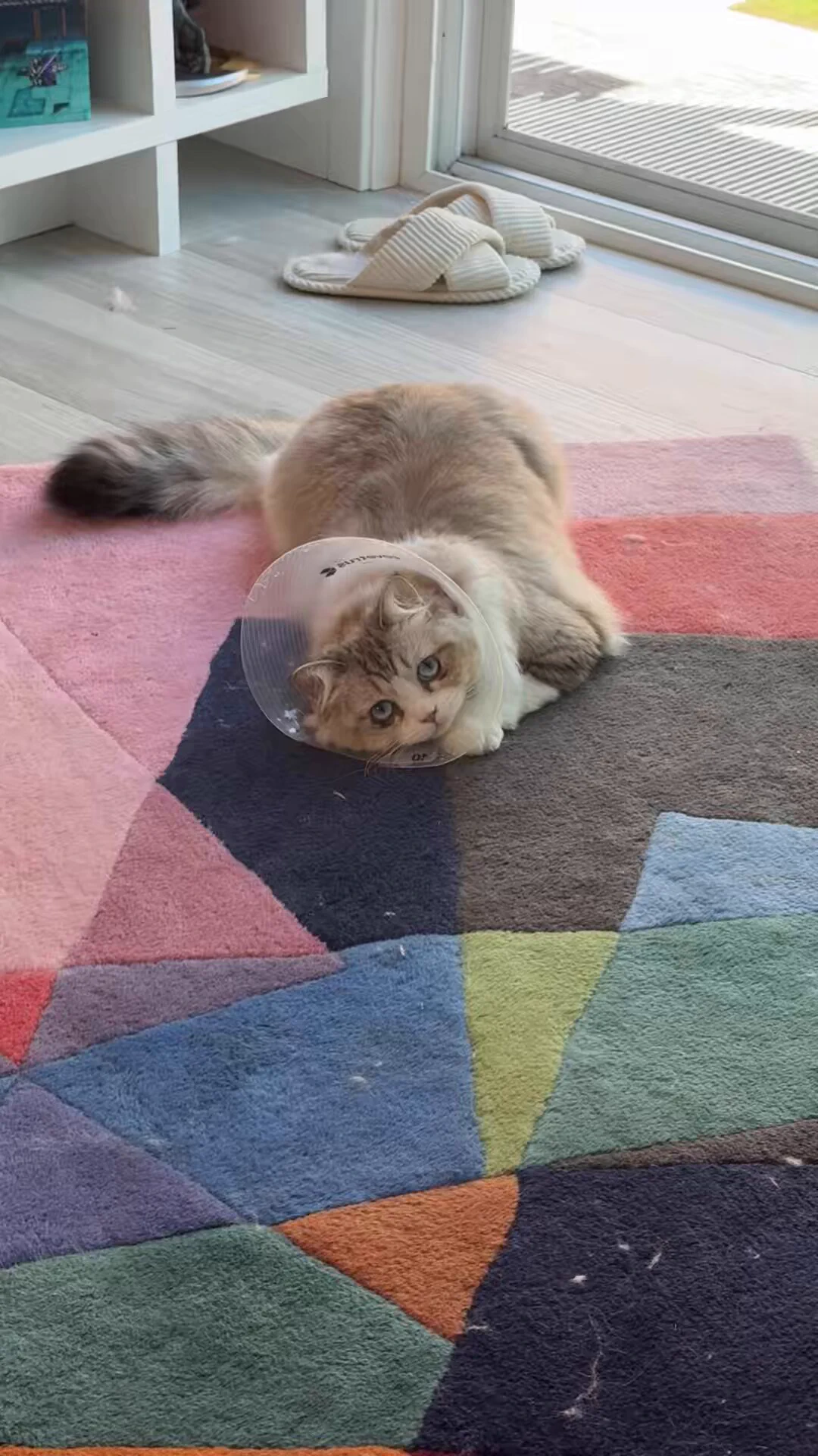 omg she’s such a camera hog (she gets it from her mom) https://t.co/pu7joLzTc0