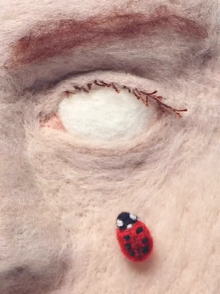 The stop motion felt art of Andrea Love
 https://t.co/08sswxr4eH