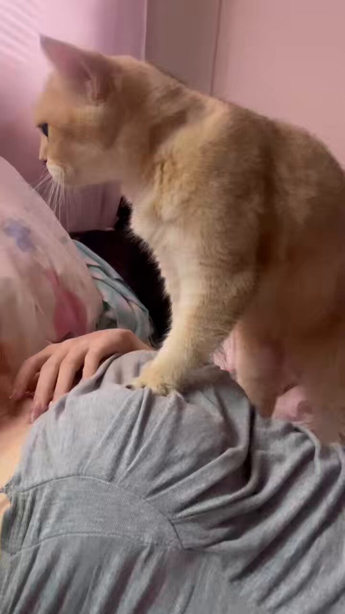 บริการนวดหน้าอก 🥰 https://t.co/zQKcjXNhwL