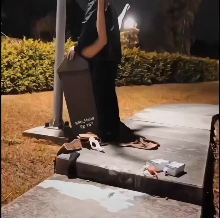 被主人抛弃的小🐶 https://t.co/jSVm4tzJGv
