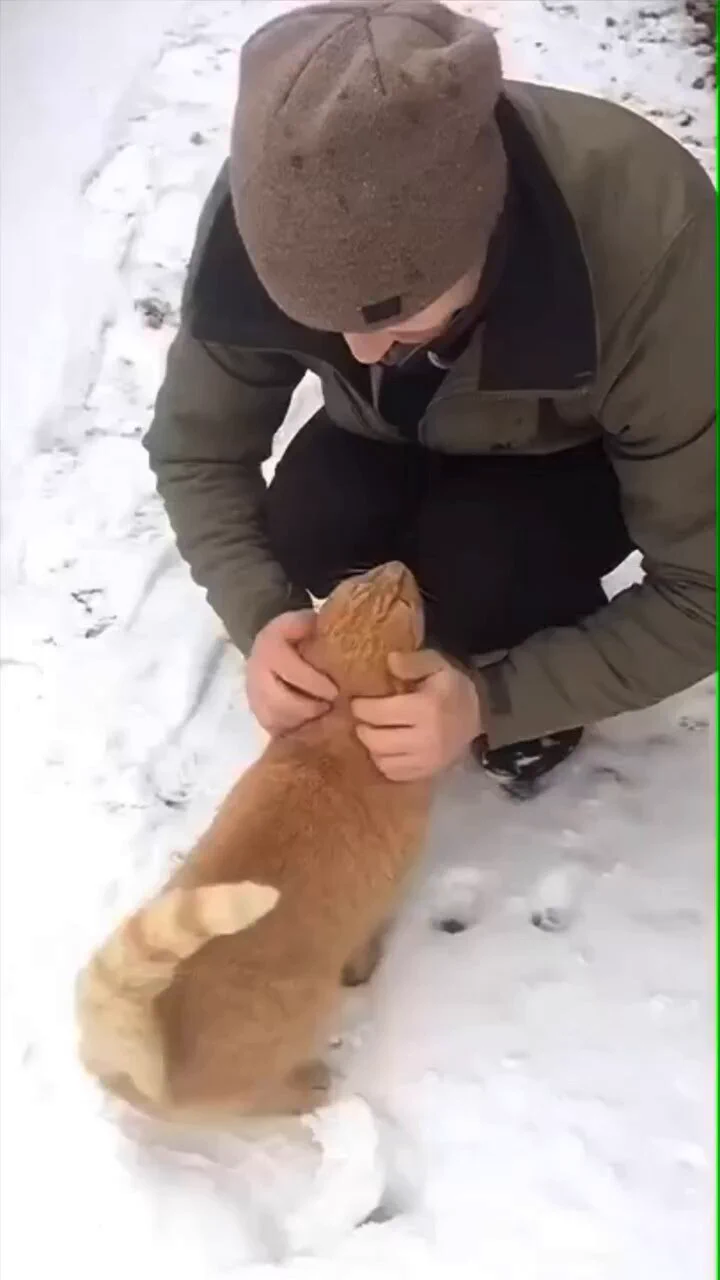 🥹🥹🥹 https://t.co/WLhBJFuyfK