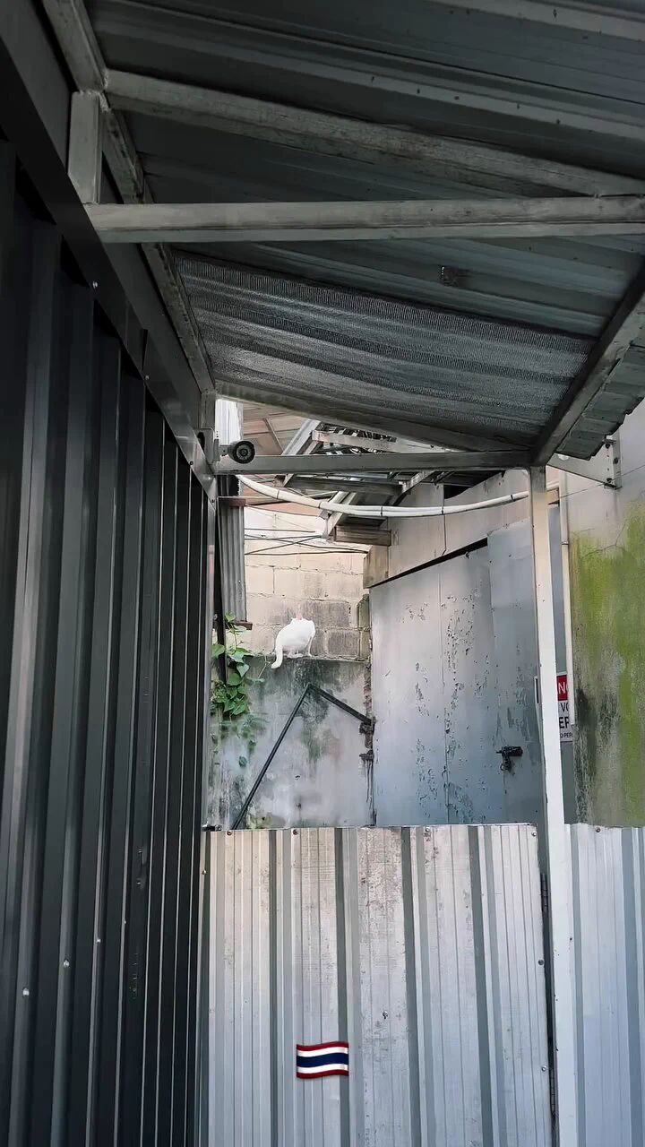 泰鬥了啦 https://t.co/Pbvma3pR3E