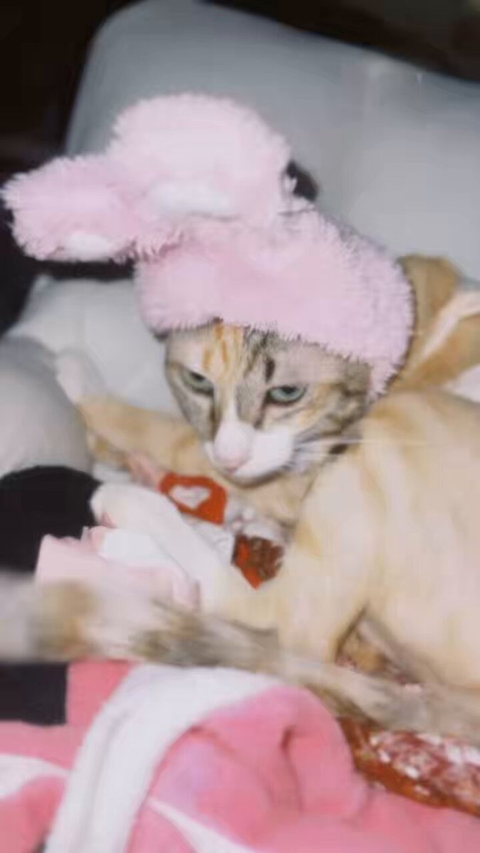 ว่าจะไม่แล้วนะนุด https://t.co/rEAMqcVxXG