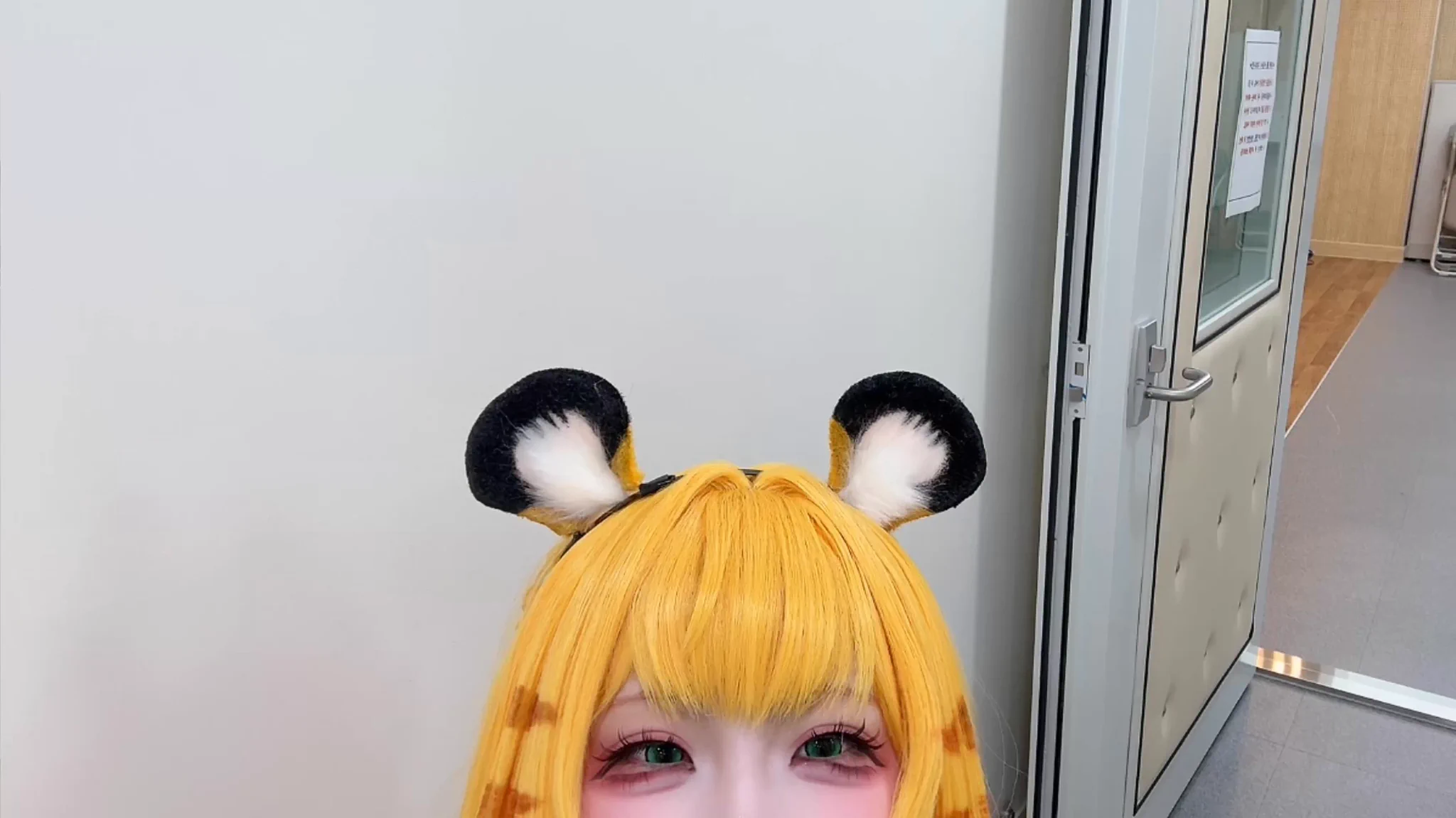 🐯‼️ https://t.co/WqWz3kAh4Q