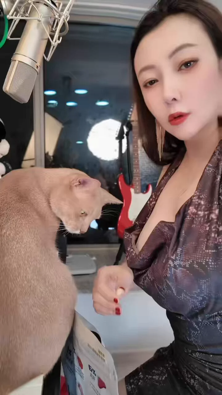 钢琴🎹喵🐱 https://t.co/aq2gxTyzi0