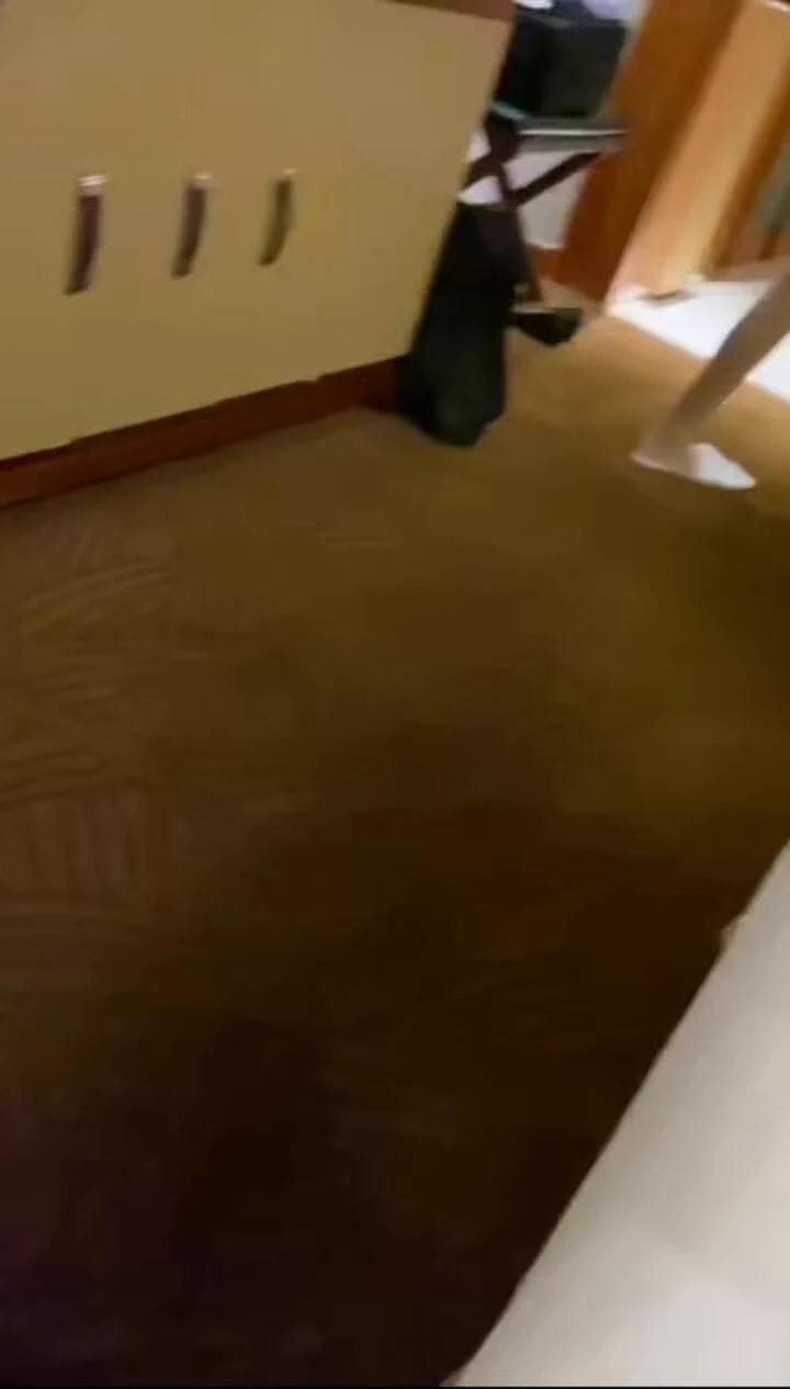 🤫别出声 https://t.co/JOWixnENDT