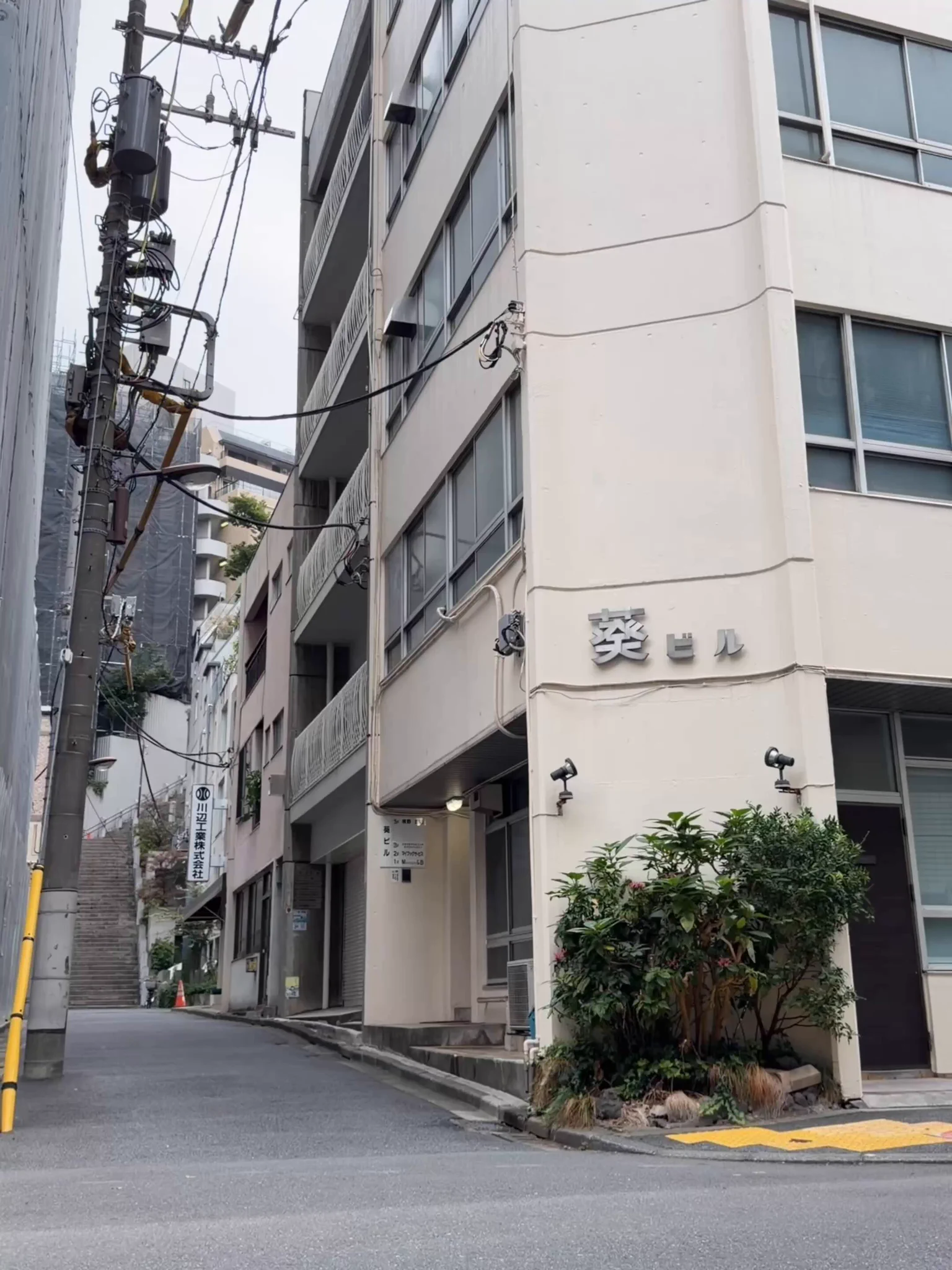 Reze’s morning walk 🌼 https://t.co/3AxHDUubjd