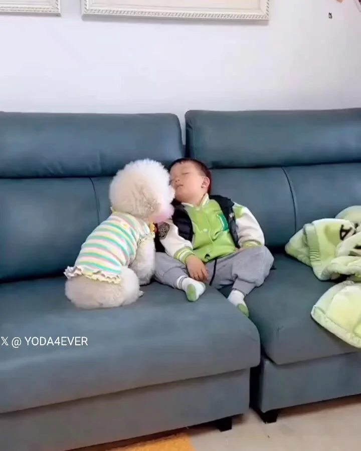 Best friends for life..🐕🐾🧒❤️

We don't deserve them..🙏 https://t.co/DYuNkqDIzj