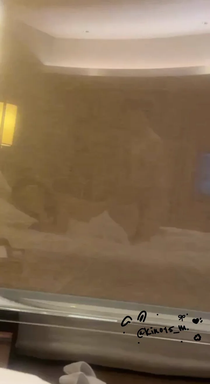 wataa https://t.co/iMOPGIA04R