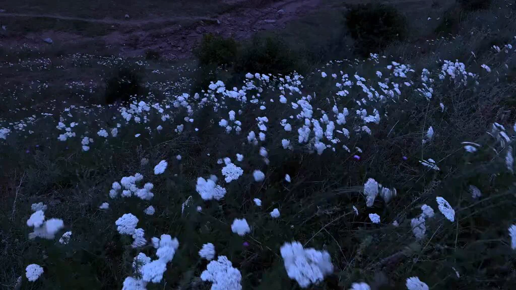 mentally i'm here https://t.co/5bTMYPTm1r