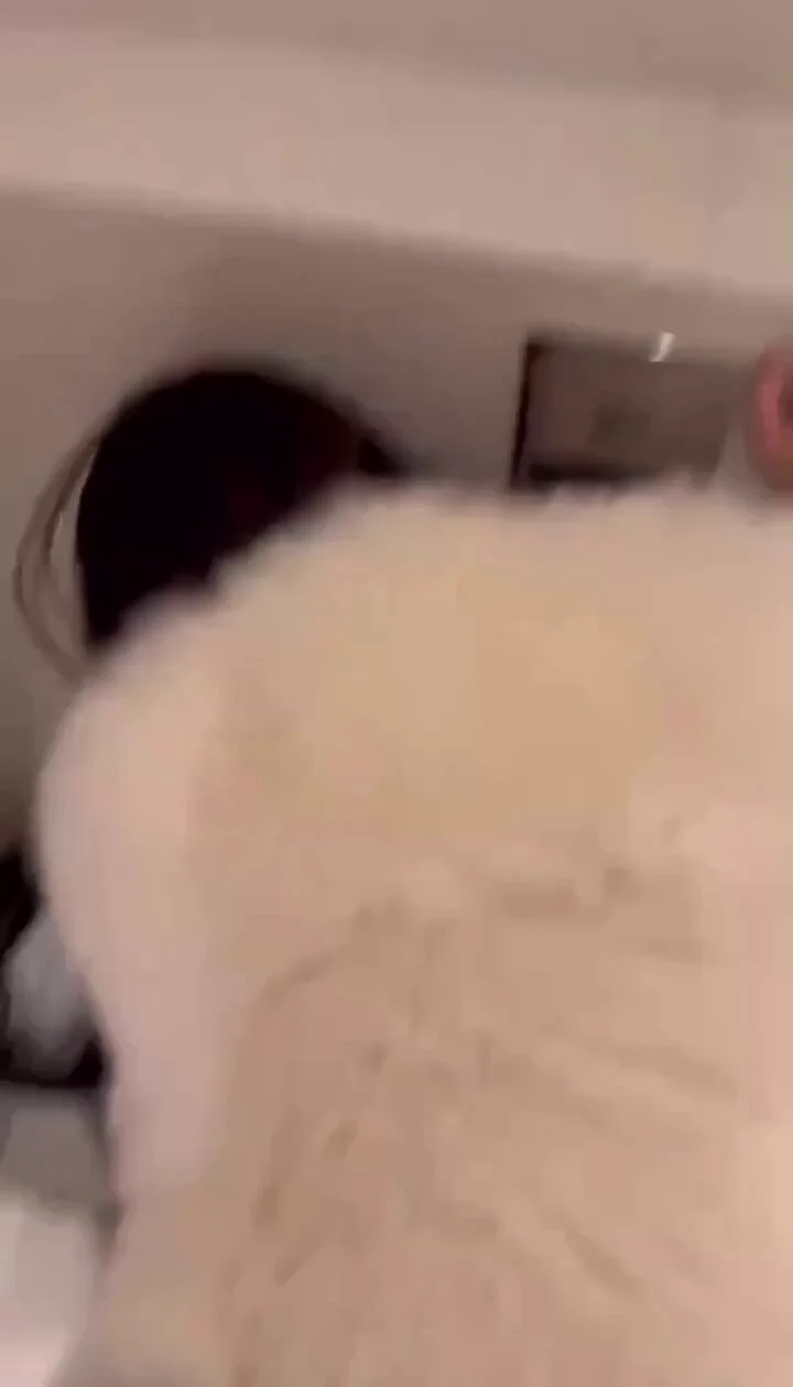 今年行情不好，为了卖套房，我忍着泪水出卖了自己 https://t.co/Lp6q7MoNmV