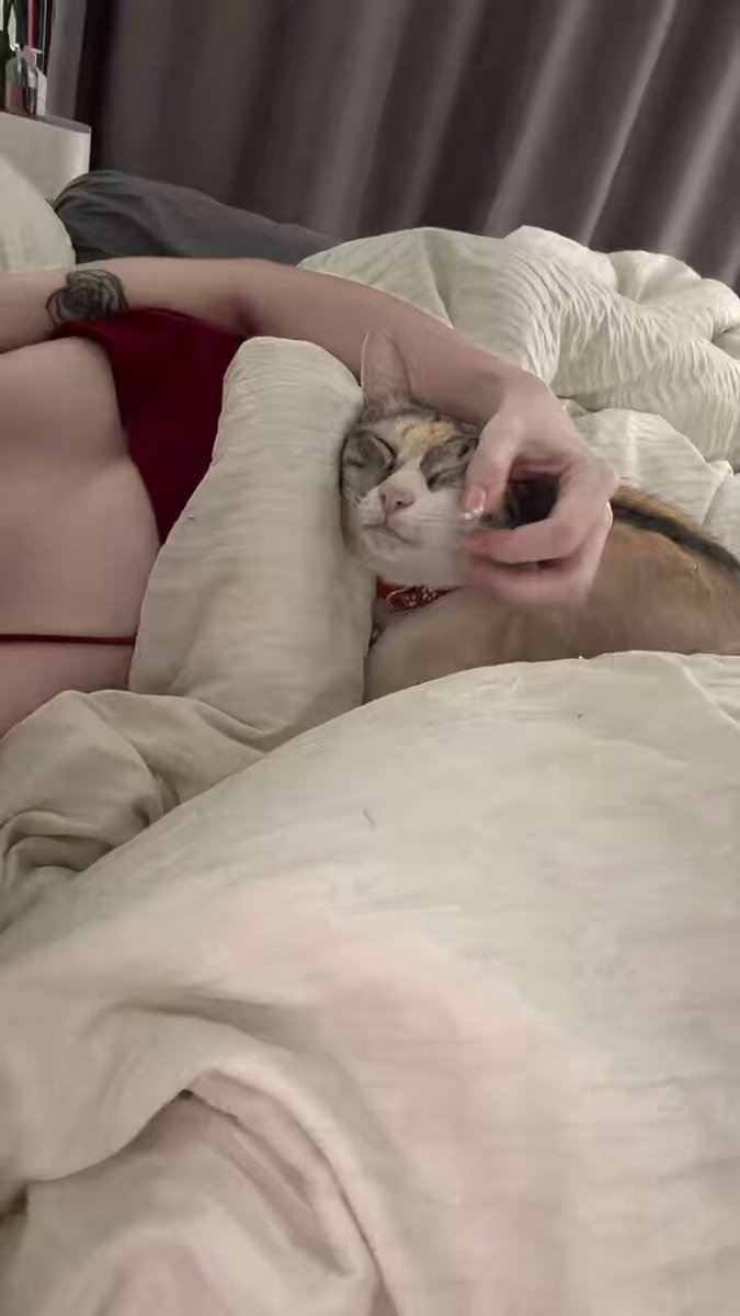 มีแต่แมว แมว แมว https://t.co/6mZtVnqf6T