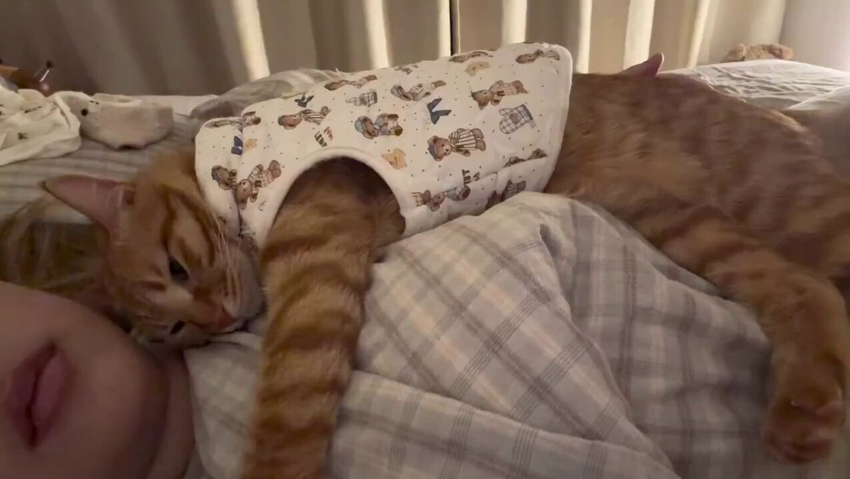 Baby is babying https://t.co/75pnYDZM0A