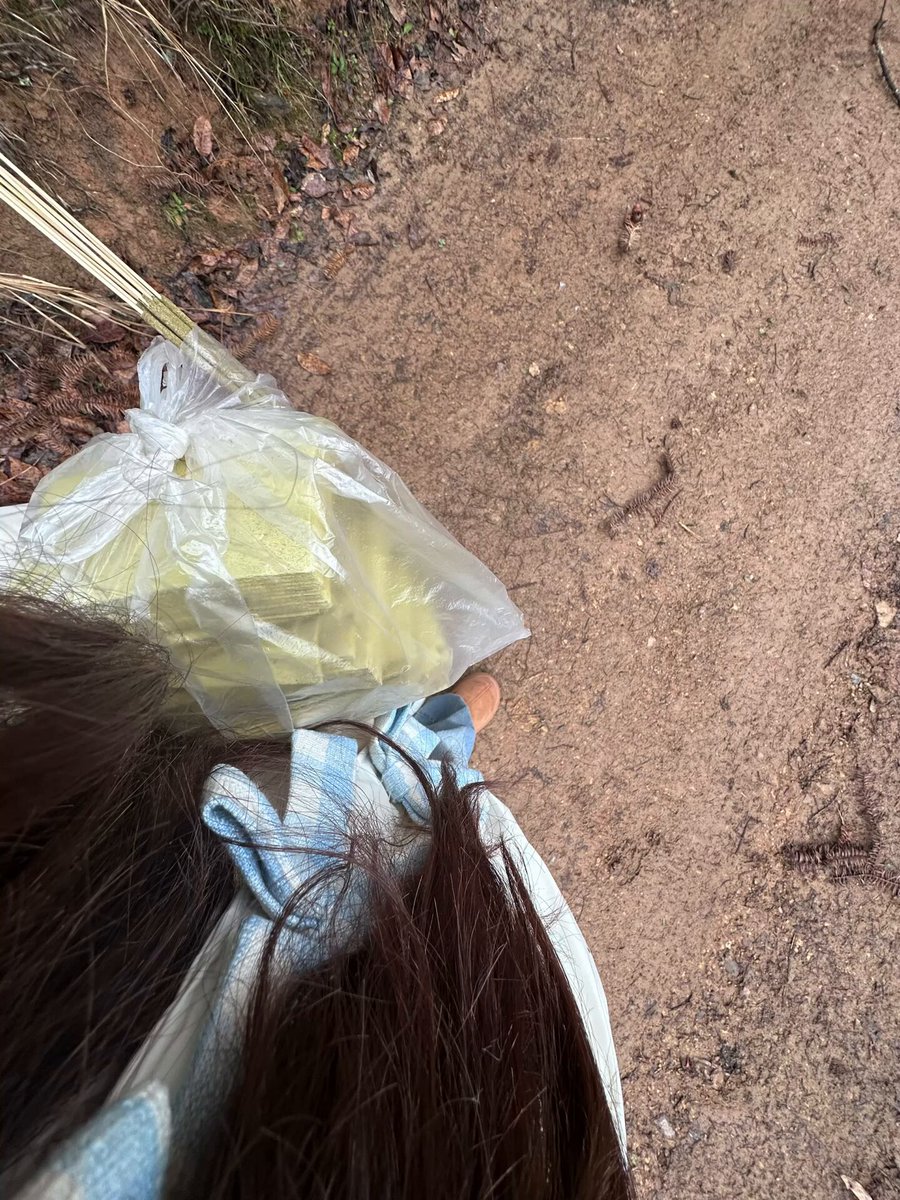 求祖宗办个事
#锤酱日常 https://t.co/To15dVL0sb