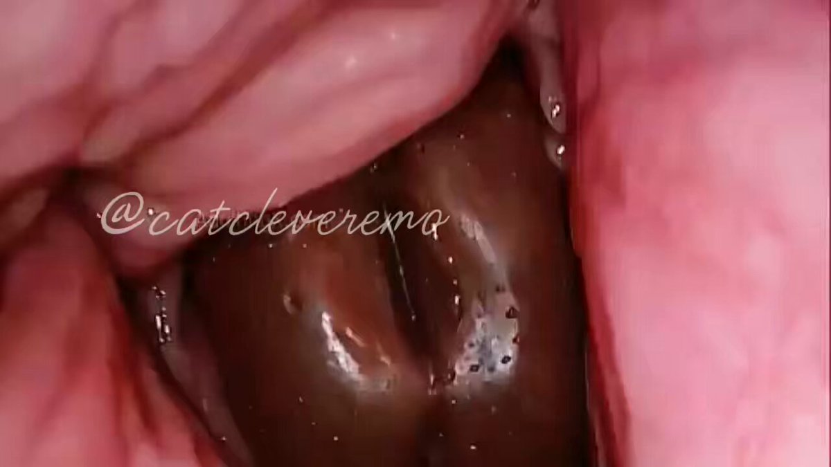 wataa❤️

处男弟弟给姐💦了两斤的量

点赞并评论区扣“灌满姐姐”抽一个处男榨干（仅粉丝弟弟） https://t.co/sEtZqQl3Yn