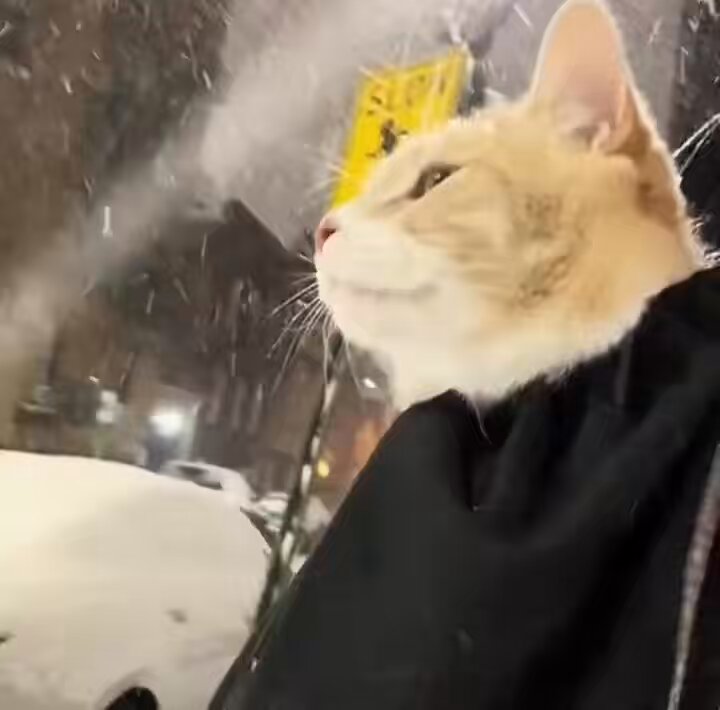 哪吒没认的命我全认了 https://t.co/PzLptFEqBp