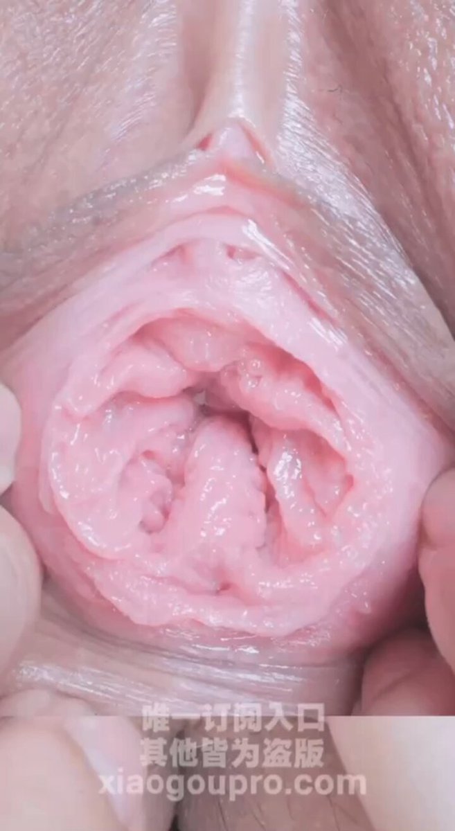 #全网最强小穴子宫特写这次拍的作品称得上是小狗pro的年度必看佳作了🤩📷，总而言之，无敌色色，无敌清晰，无敌好射！！小穴和阴蒂的每一个毛孔纹路都清晰可见📷📷，子宫和阴道壁的肌肉血管超级粉嫩美丽📷，还能看到小穴的呼吸缩放，绝美的视觉奇观 https://t.co/7o1k77NA8s