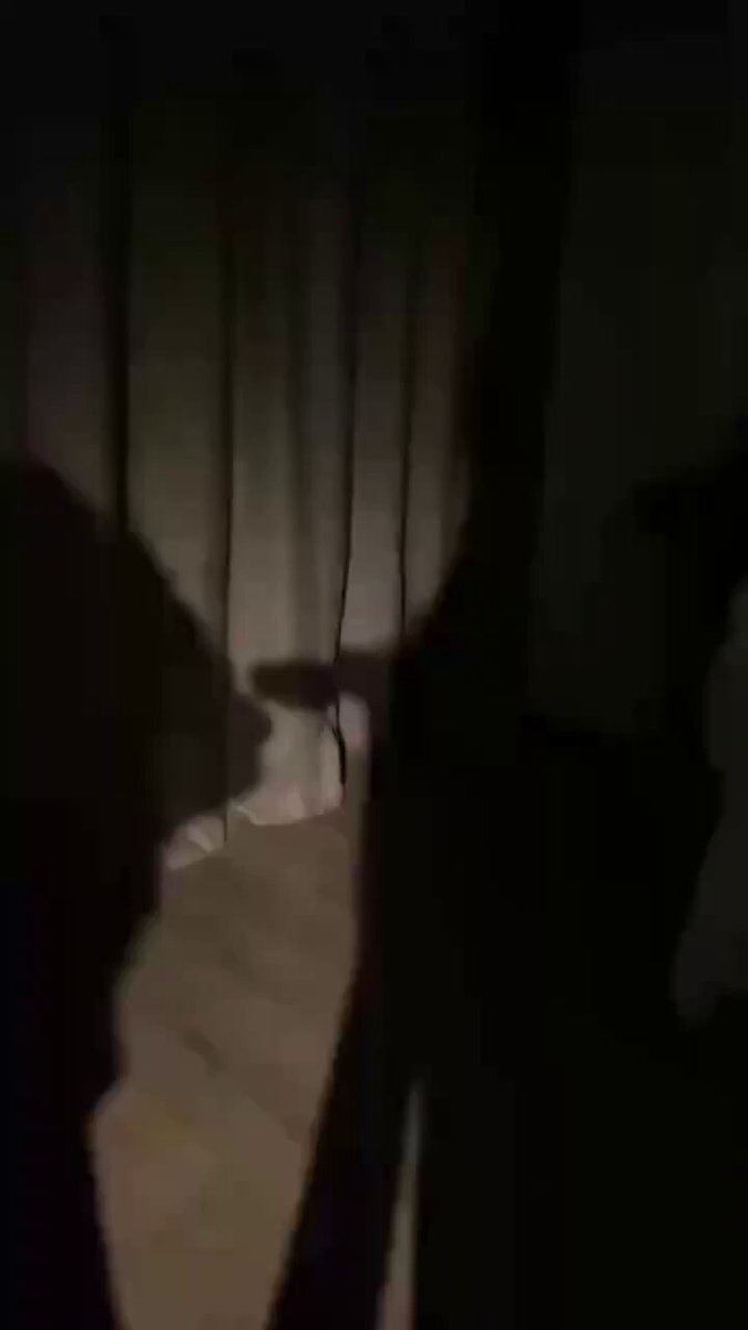 无需多言……姐姐自会为你。 https://t.co/HRnqibTEfJ