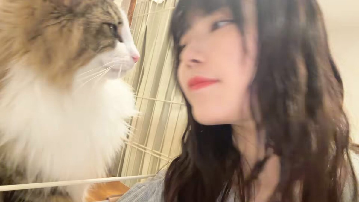 収録終わり！
猫がお鼻にキッス💋してくれた https://t.co/NvlUweaZ8e