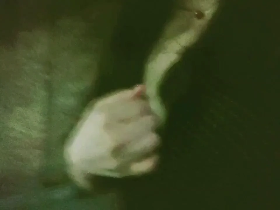 一只母狗，在夜里露出了自己的奶子，想着下次要不带上乳夹，在没人的车窗玻璃上贴上去摩擦，小穴夹着跳蛋，带着肛塞，身上写着母猪肉便器的字样。。#母猪 #母狗 #肉便器 #精液厕所 #露出 #bdsm #贱货 #羞辱 #骚货 #贱逼 #奶子 #淫液 #婊子 #贱母狗 https://t.co/4nKE38OQND