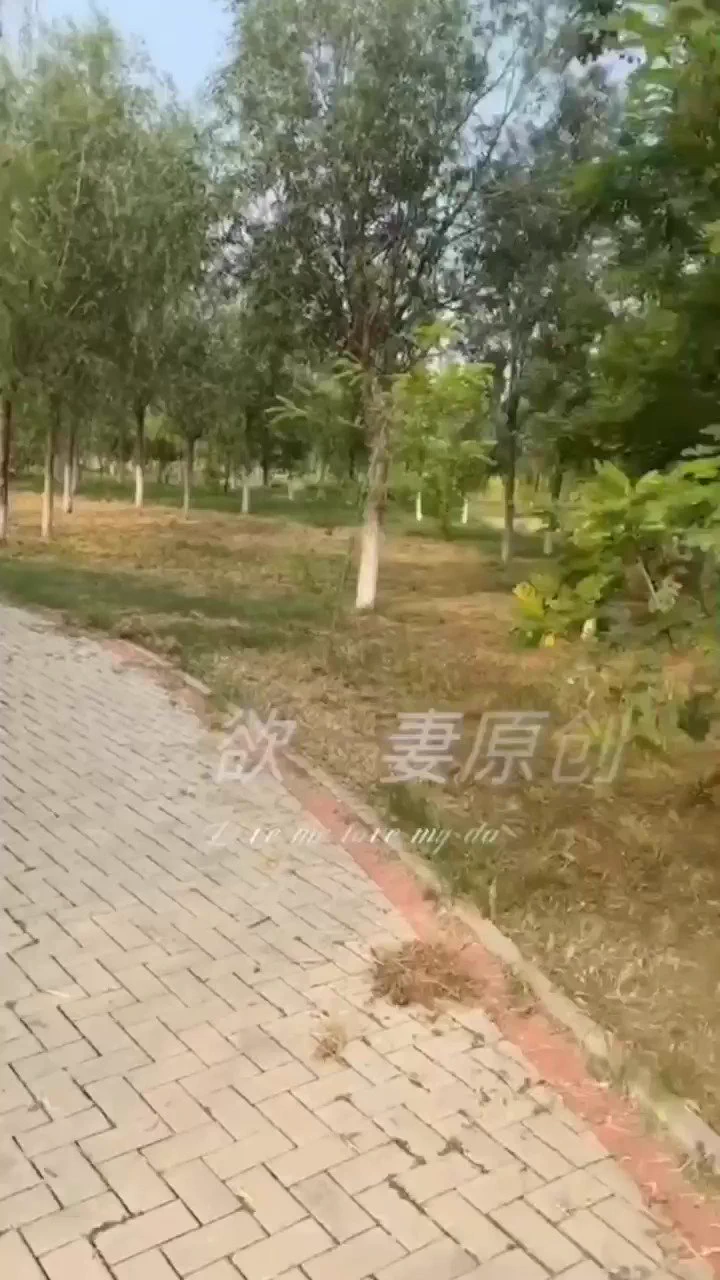 抓住夏天的尾巴，趁着好天气多穿丝袜多露出！ https://t.co/czrSNMximD