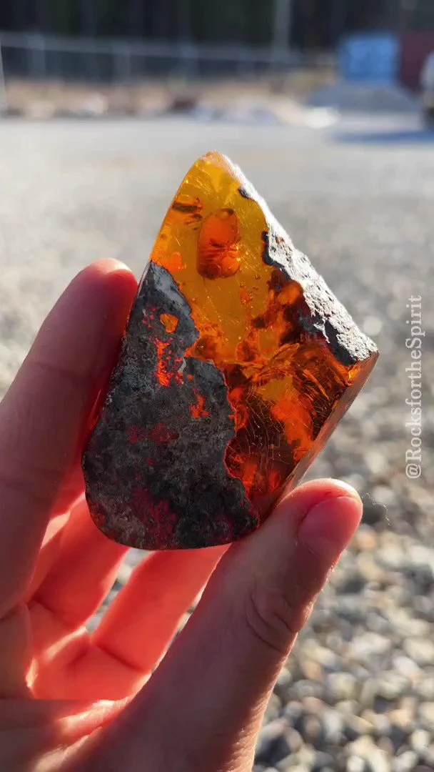 琥珀の中に保存された2200年前のシロアリ、気泡までもが中に浮いてる様子、これはとんでもない価値になりそう…

https://t.co/ka8YnXhrap