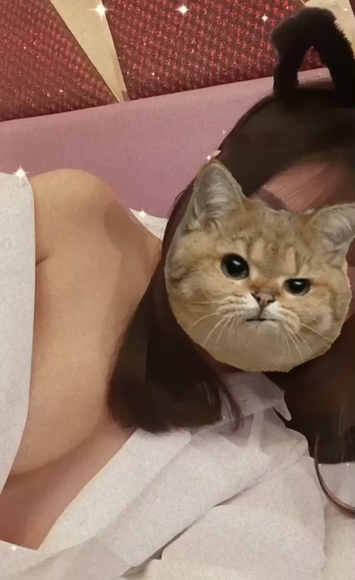 喵 mᶘ ᵒᴥᵒᶅm

#領養文
#開玩笑 https://t.co/mSPyGtBMsi