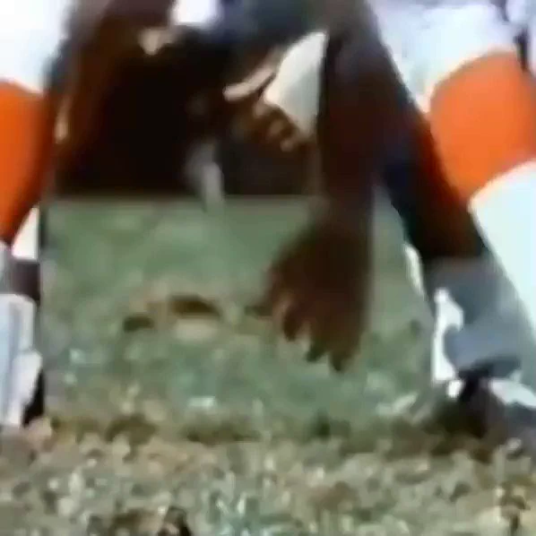 Back when football was football. https://t.co/oNNmXeyE0F