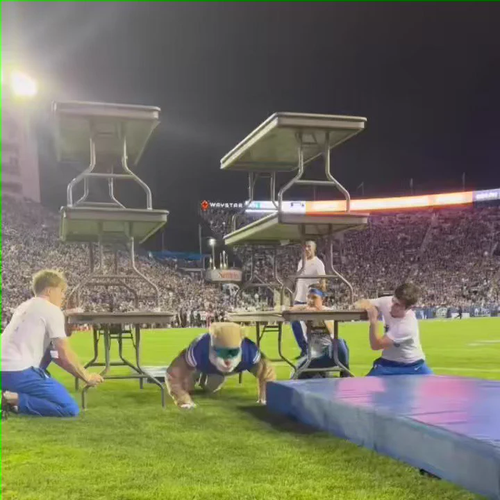 BYU’s mascot is a certified badass. https://t.co/mqlTTohaVx