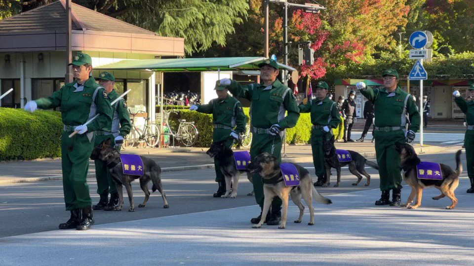 1匹だけ明らかにウキウキな警察犬が可愛い
 https://t.co/rINXjUWIl9