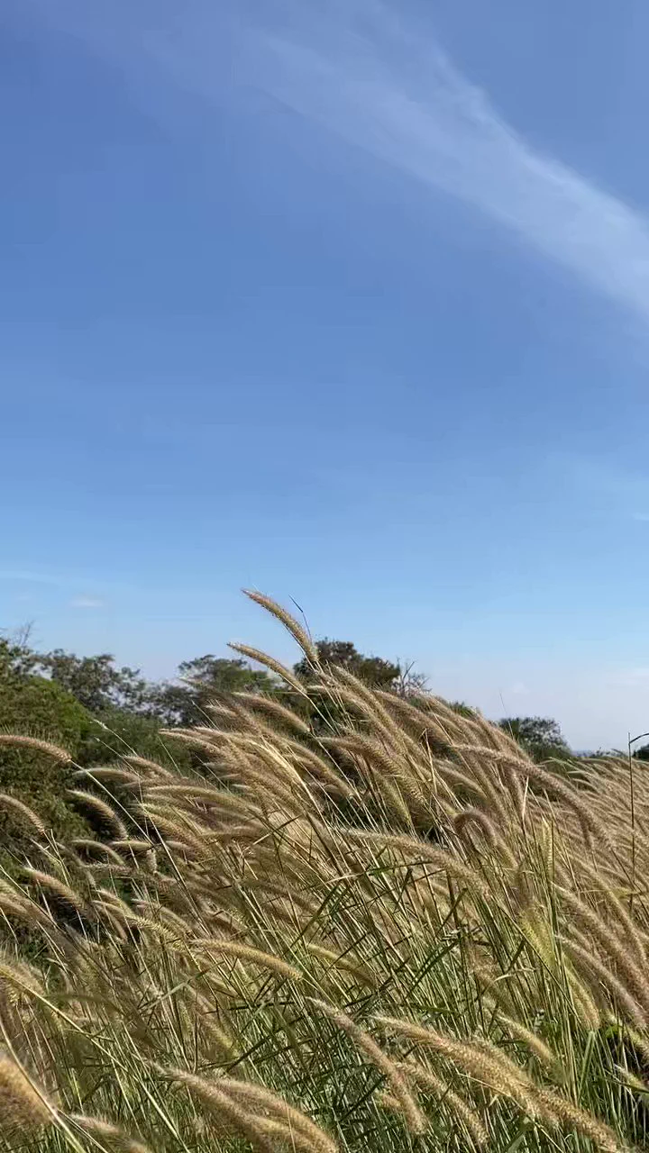 畅子最近又去清迈晃荡了😌 https://t.co/RKv3yBs6Ha