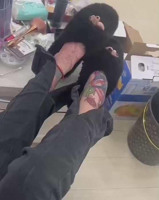 太傻逼了啊啊，没忍住对着精神亲妈的脚趾无脑上贡射了三次

#精神小妹 #早泄 #atm奴 #女性崇拜 #无脑上供 #自毁 #绿帽 #脚奴 #足控 #素人开发 #冤种 #贱狗 #辱骂 #盯射 #舔狗 #反差 #榨精 #洗脑 #奴下奴 #白给 https://t.co/b0AQtoZqrZ