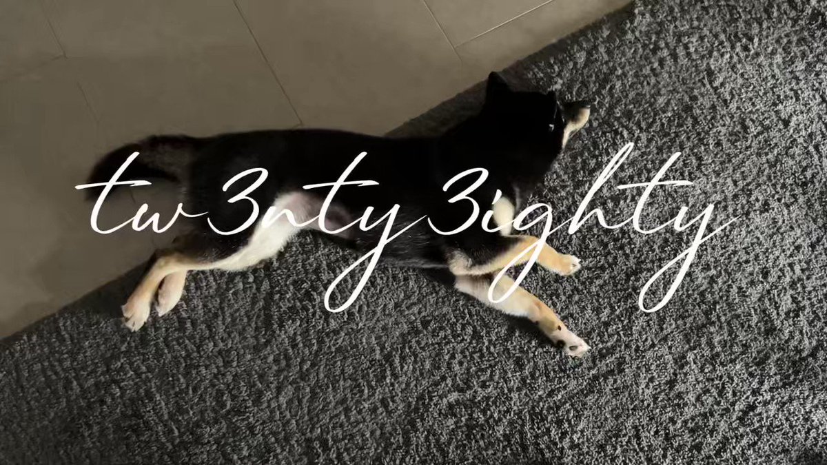 Wait for it 😂😂😂 https://t.co/9ZXE4dUoXj