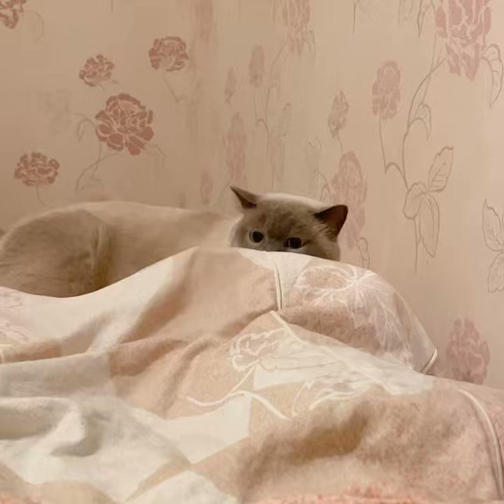 我要跟他打一架 https://t.co/D1QRqJXYZr