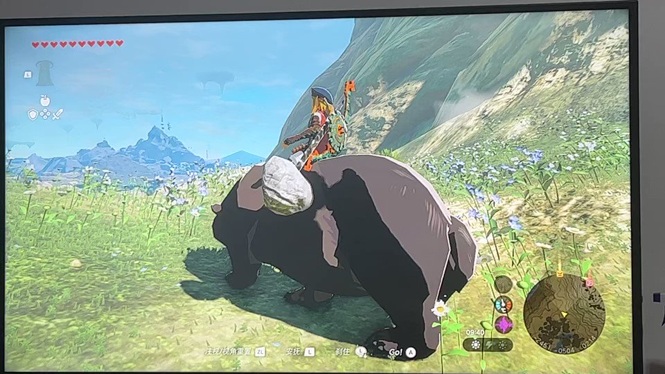 希望有一天可以登记熊为坐骑 https://t.co/Uv1jQ7gUgn