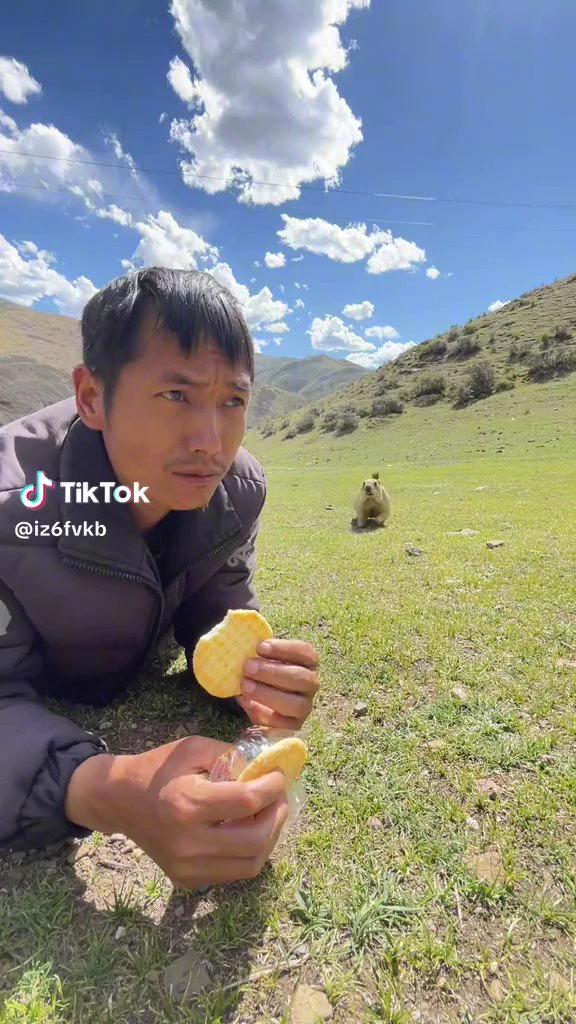 せんべい食べてる人間を見つけた時のプレーリードッグの反応
 https://t.co/qysV7Bkd1F