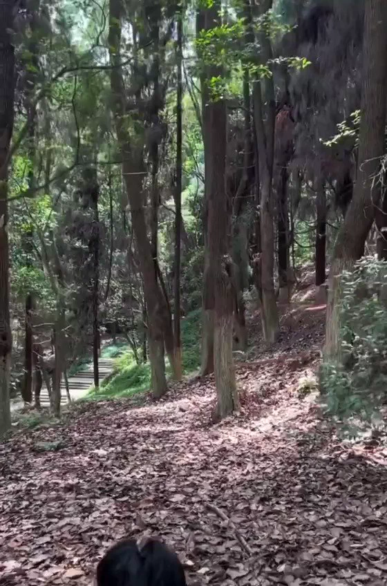 难得周末来个户外瑜伽🧘‍♀️，好玩耶✌️！ https://t.co/AGzh7Cosjv