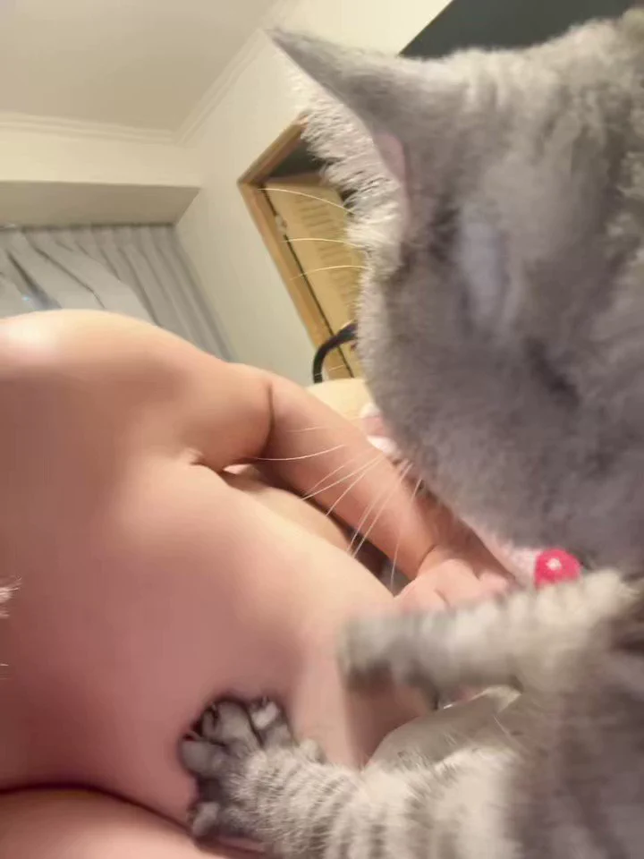 我的貓好愛踩奶為什麼很多男生喜歡大胸部的女生呢？這裏可以看更色的我https://t.co/5C81YNQk0J https://t.co/j2btMeqGrJ