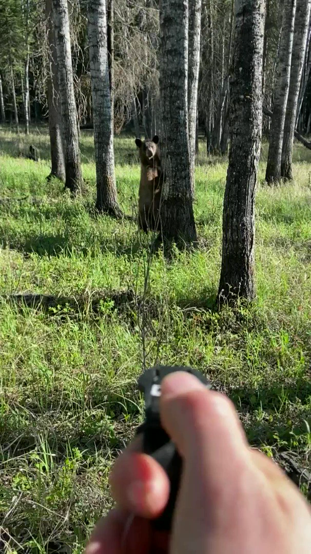 【恐怖】クマ避けスプレーなかったらしんでた。
クマってこうやって距離詰めてくるんだな怖い
https://t.co/2a3qc341je