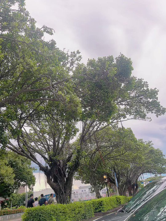 專程跑去台中吃酸辣魚 
結果等太久還是吃茶六🥲 https://t.co/mpSbiN08o1