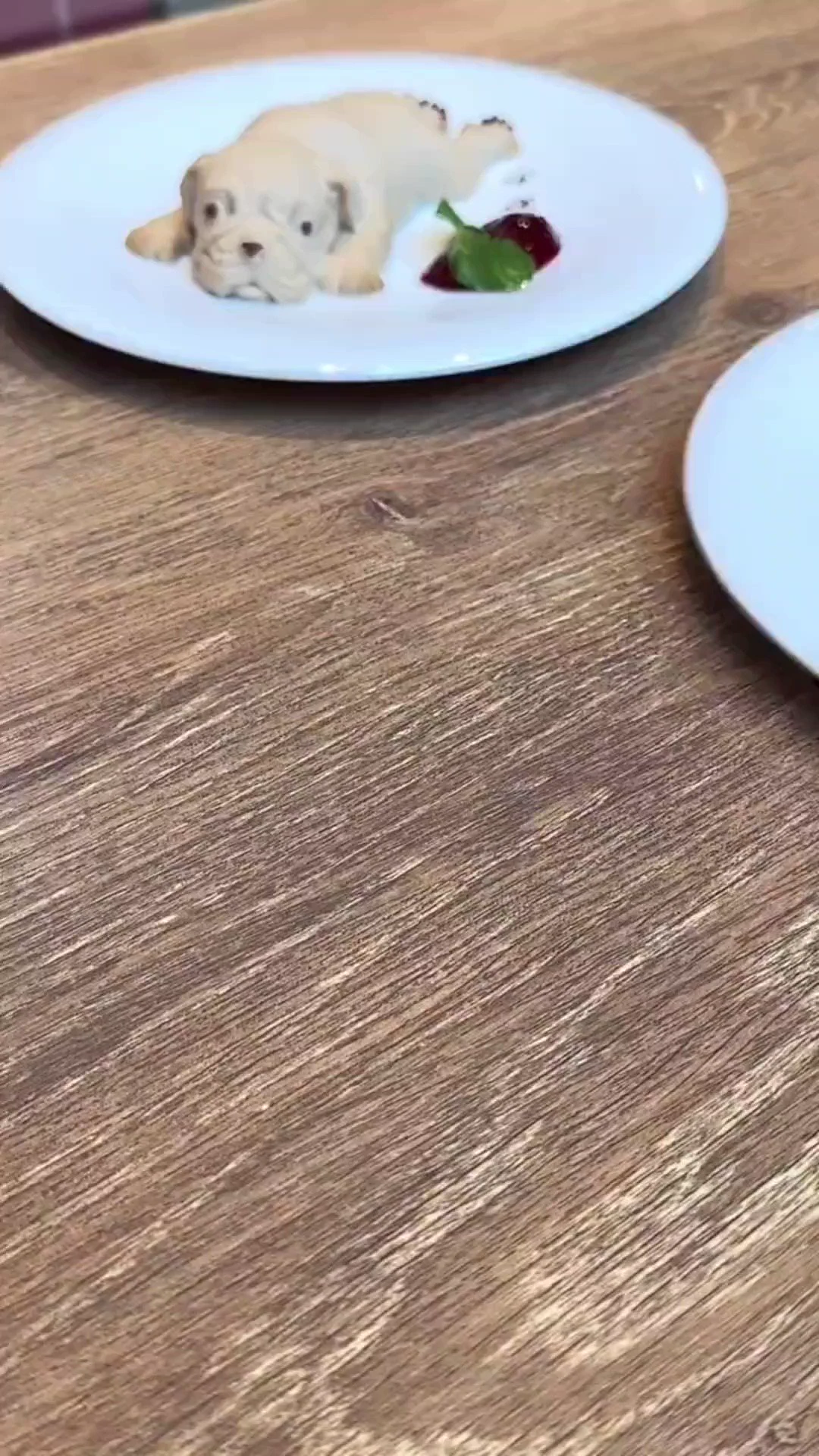 Delicious cake like a dog😆 https://t.co/zHbCh0BBUm
