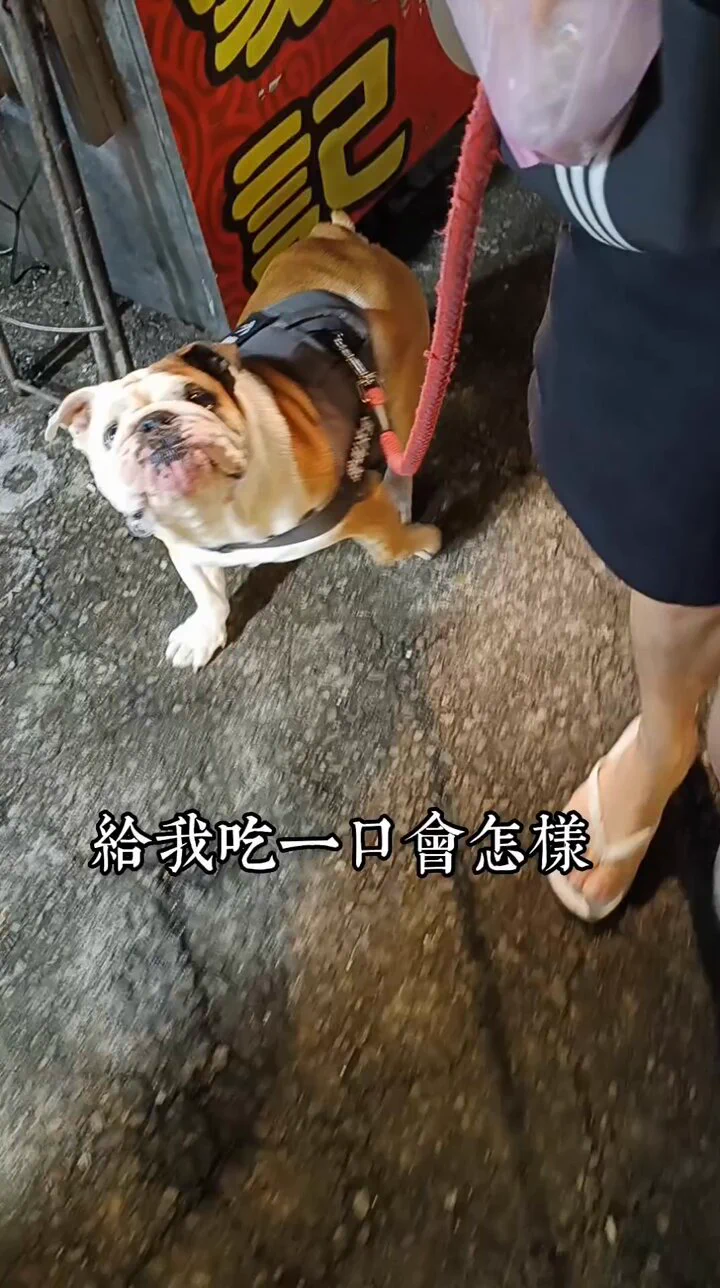 貪吃寶包 https://t.co/fdzvNk1rNt