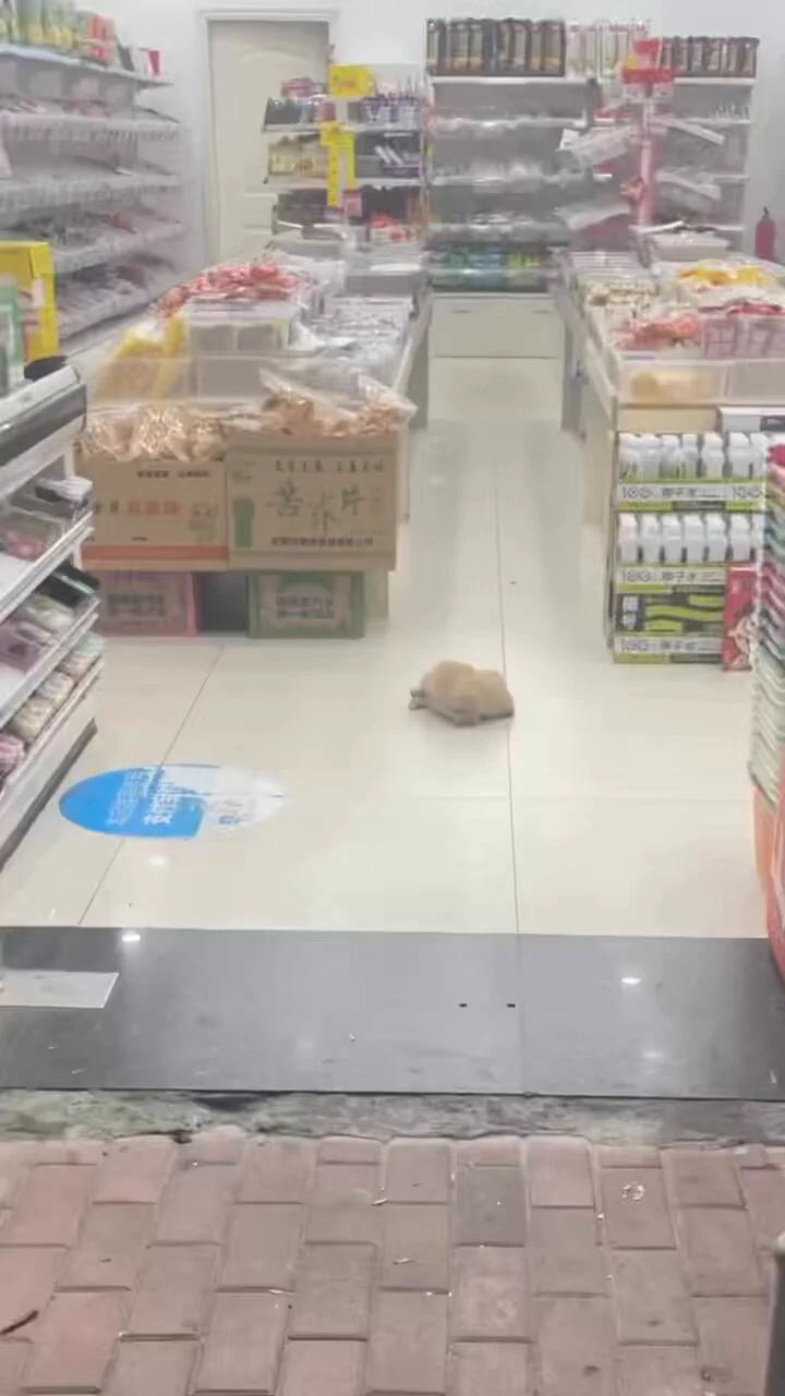 仕事に全く集中出来なかった理由

https://t.co/ghv8A4xRxx